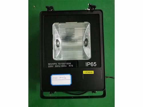 ZY2013-100W
